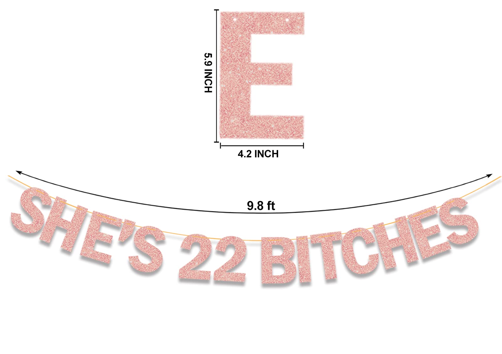 Funny 22nd Birthday Banner for Women - Glitter Rose Gold Party Decor - Perfect for 22nd Birthday Celebrations & Girls' Night Decorations