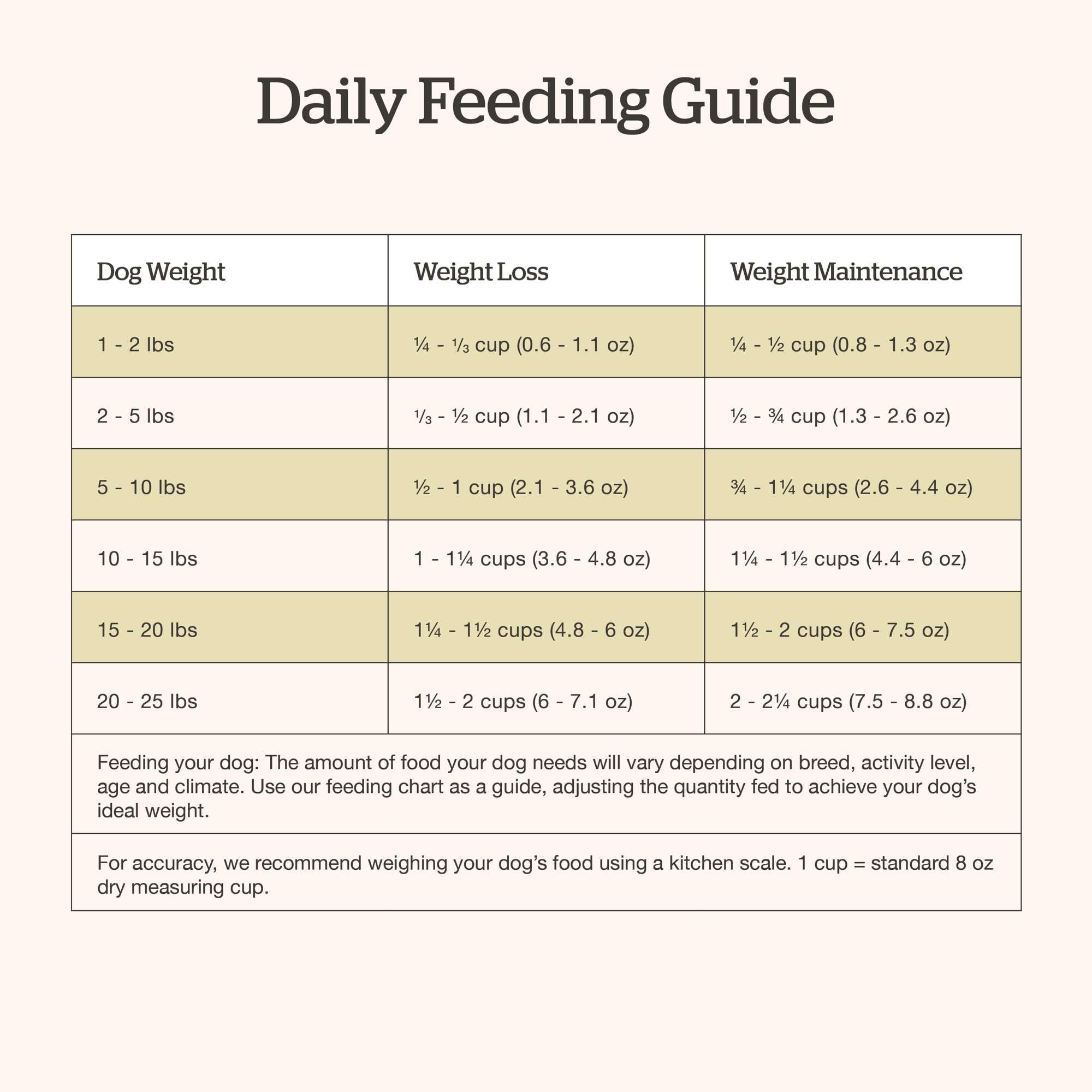 Now Fresh Grain-Free Dry Dog Food for Small Breeds - Real Turkey, Salmon & Duck Recipe, 6lb Bag | Perfect for Adult Dogs at Home or Travel