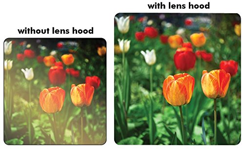 Canon EF 50mm f/1.8 STM 49mm Filter Kit with Lens Hood for Photography