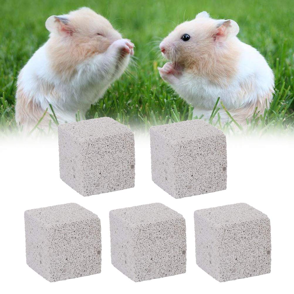Natural Mineral Stone Chew Toy for Small Pets - 4.5cm Teeth Grinder for Hamster, Rat, Chinchilla & Rabbit (Pack of 5) | Promotes Dental Health & Prevents Overgrown Teeth - Perfect for Cage Enrichment & Stress Relief