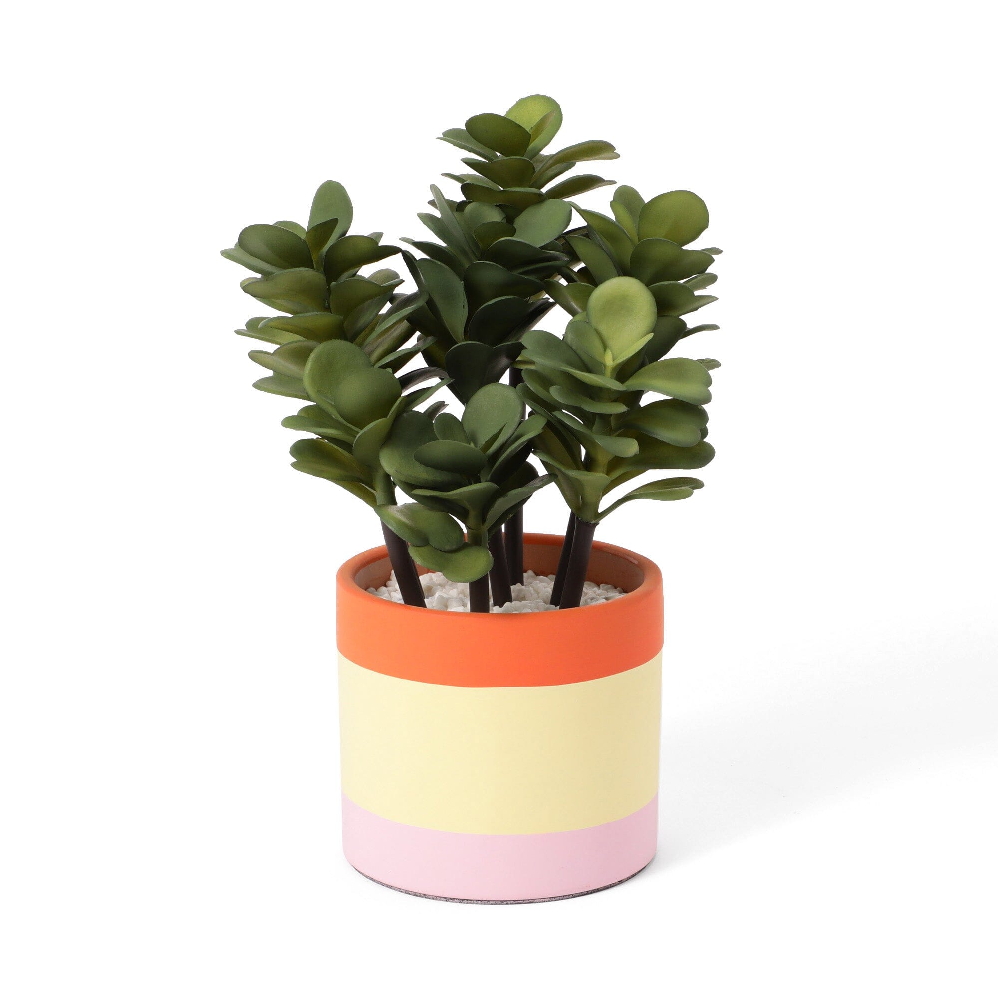 Art Green & Pot Succulents - Beautiful Live Succulent Plants for Home Decor, Office Desk, and Garden - Perfect for Indoor and Outdoor Planting