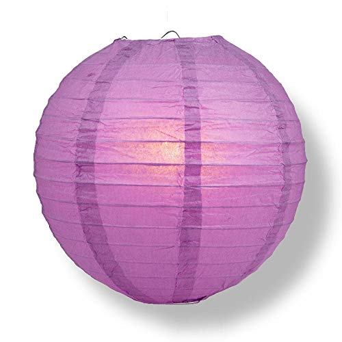 Violet / Orchid