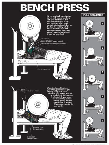 Bench Press Laminated Workout Chart - Strength Training Guide for Gym & Home Fitness - Perfect for Weightlifting, Bodybuilding & CrossFit Routines