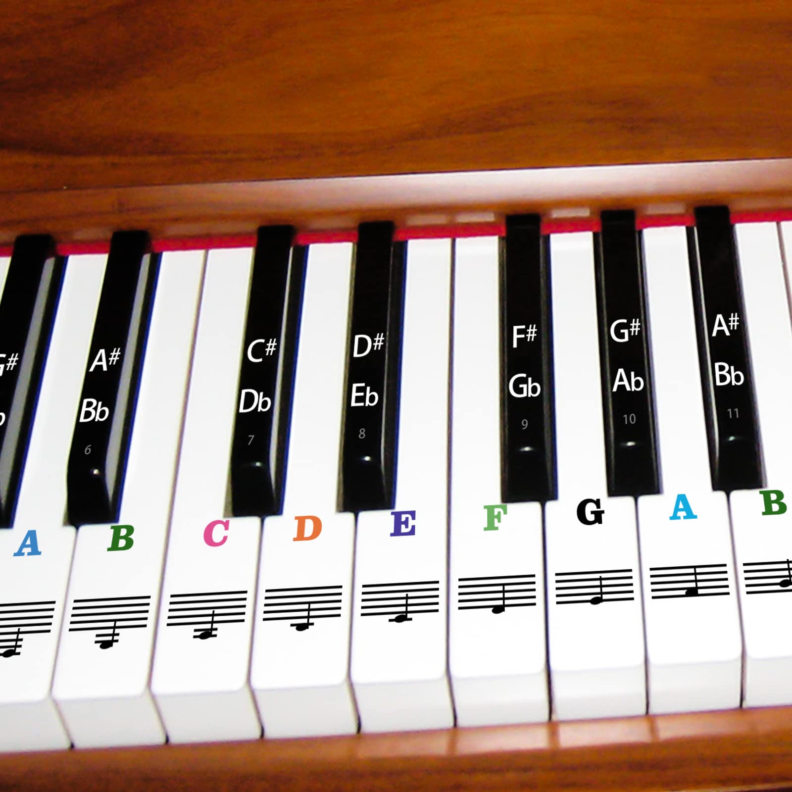 AIEX Removable Transparent Piano Note Stickers - Colorful Keyboard Labels for 88/61/54/49 Key Pianos (White & Black Keys) - Perfect for Beginners Learning Piano at Home or Music Class