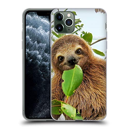 Three Toed Sloth