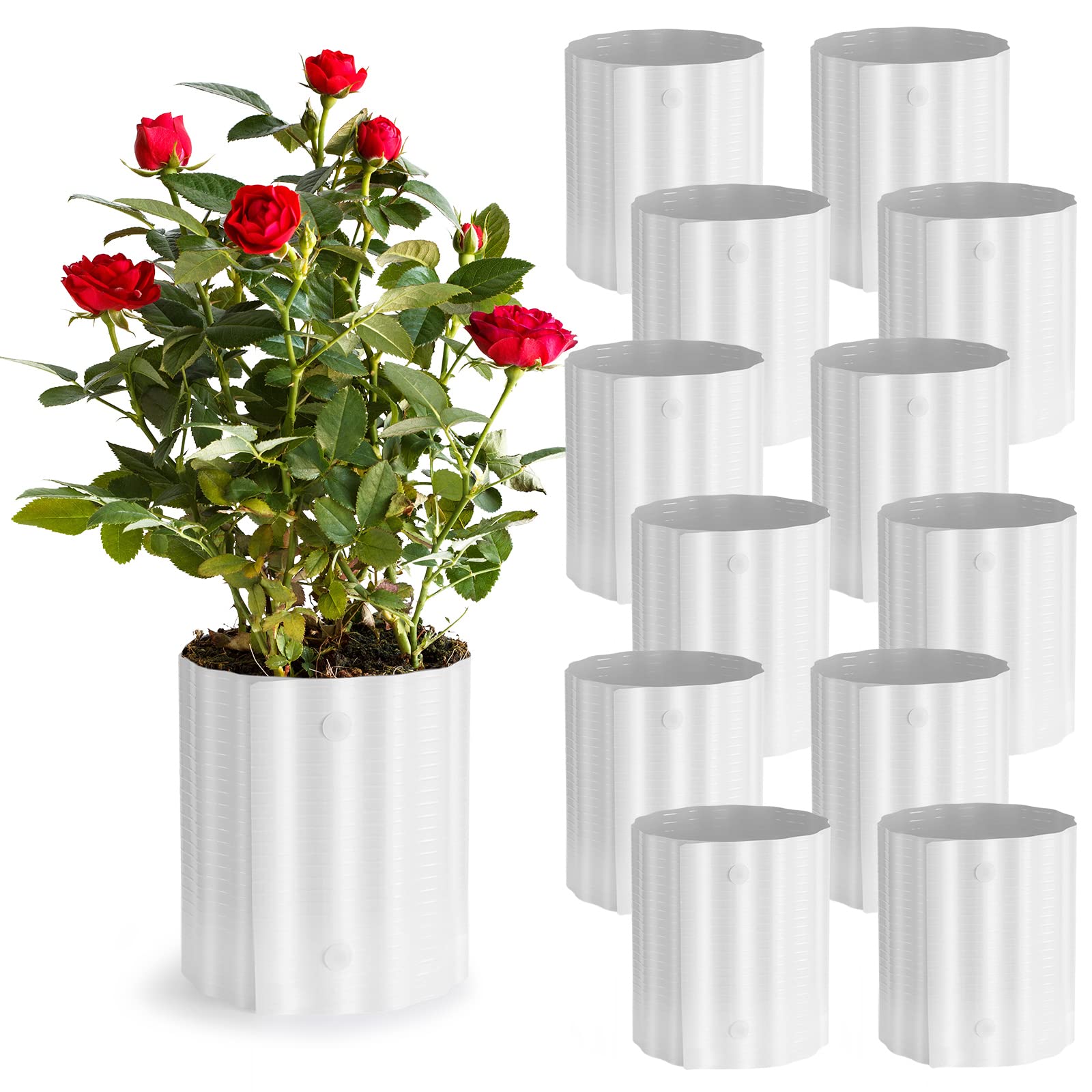 Queekay Winter Rose Collar - Warm Connectable Plant Protector for Roses & Bushes, Wind & Freeze Protection, Animal Deterrent (12 Pack) - Ideal for Garden, Outdoor Plants & Sapling Protection in Cold Weather