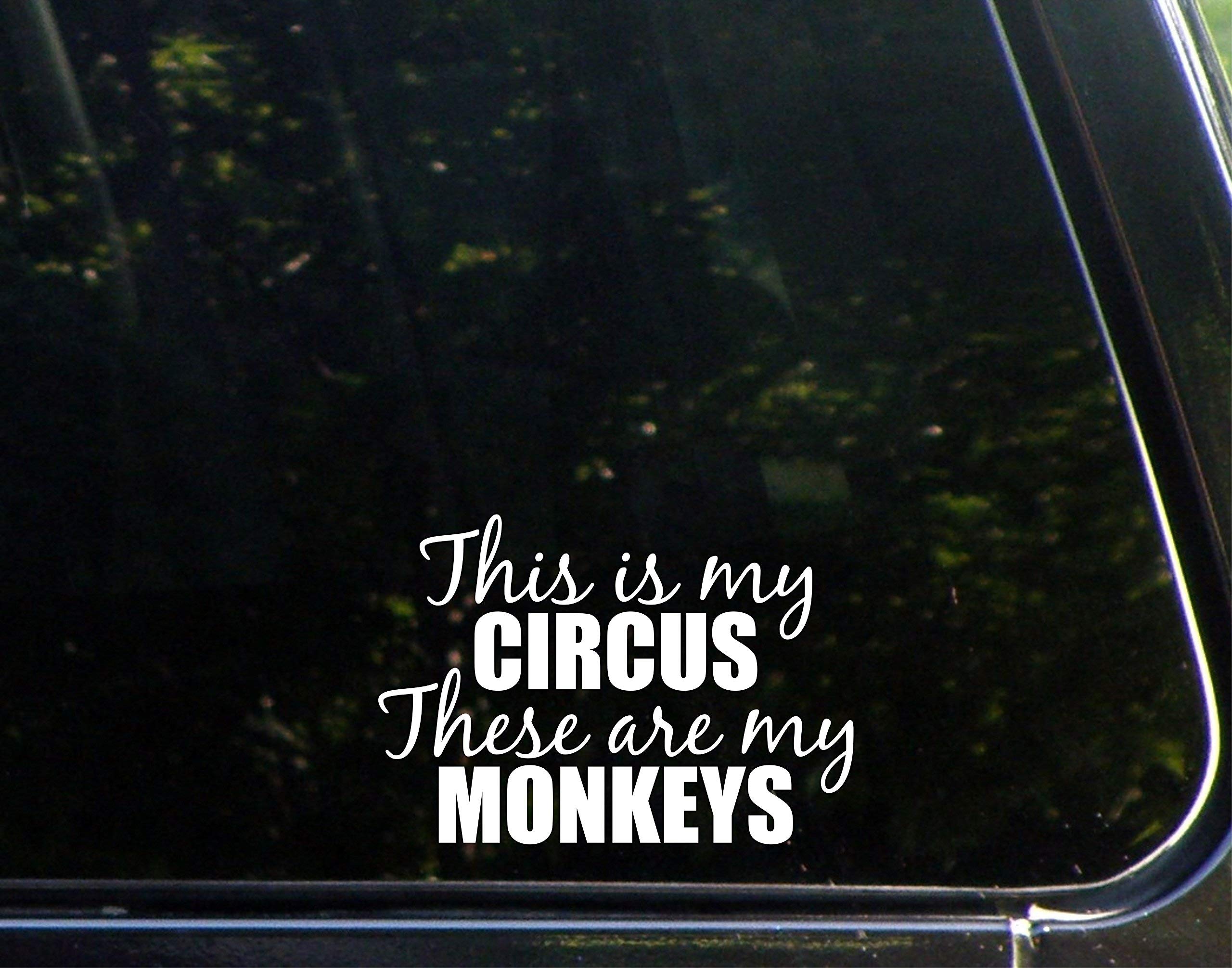 This is My Circus These are My Monkeys - 5.5