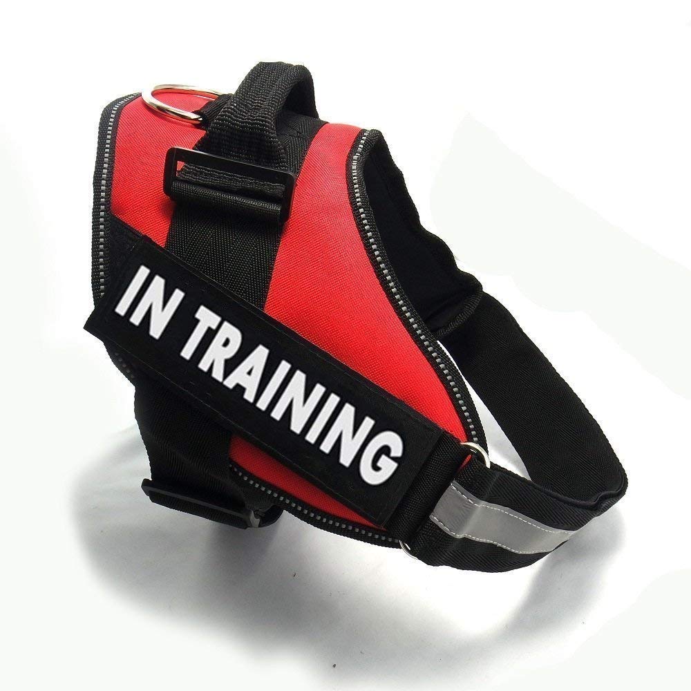 Fairwin Reflective Removable Dog Training Patches for Service Vest & Harness - Perfect for Police, Military, and Working Dogs