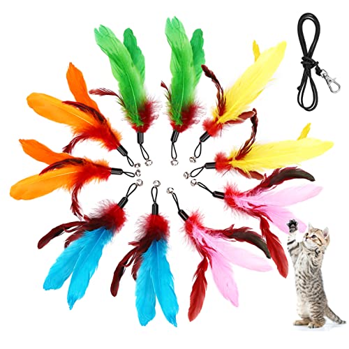 Feather Refills