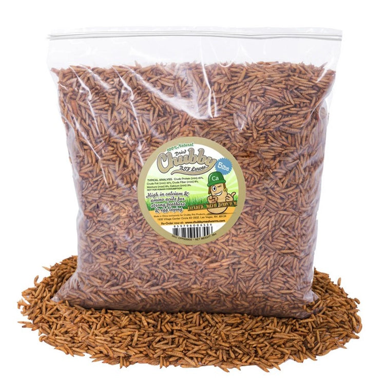 Premium Chubby Dried Black Soldier Fly Larvae - 5 lb Resealable Bag | High-Protein Pet Food for Chickens, Reptiles & Wild Birds | Perfect for Backyard Poultry, Fishing Bait & Wildlife Feeding