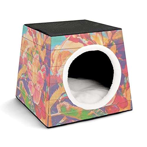 Color4
