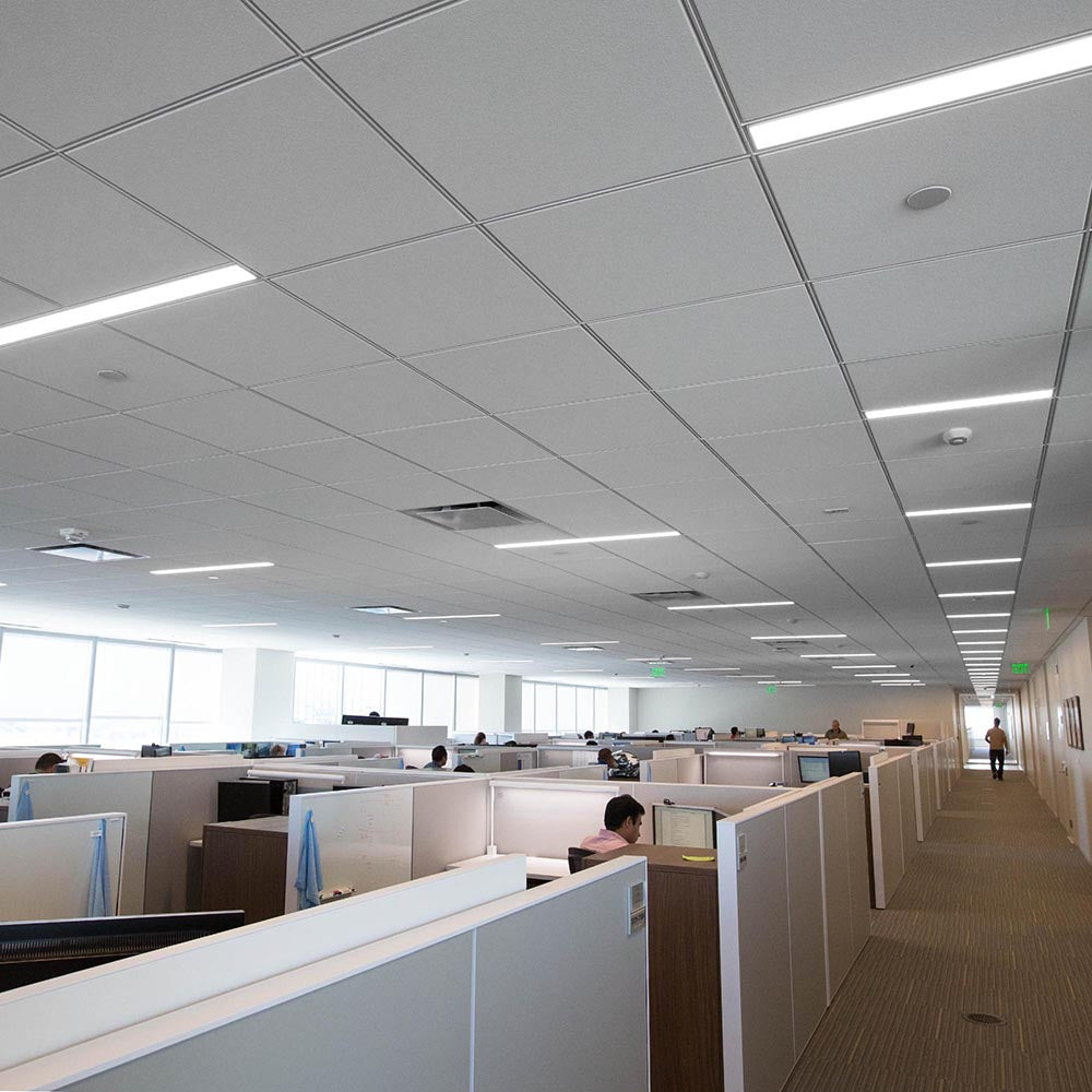 18W T8 4FT 6500K Daylight LED Tube Light - Energy Efficient Fluorescent Replacement for Home, Office & Garage Lighting - Bright White Light Bulbs for Ceiling Fixtures, Workshops and Commercial Spaces