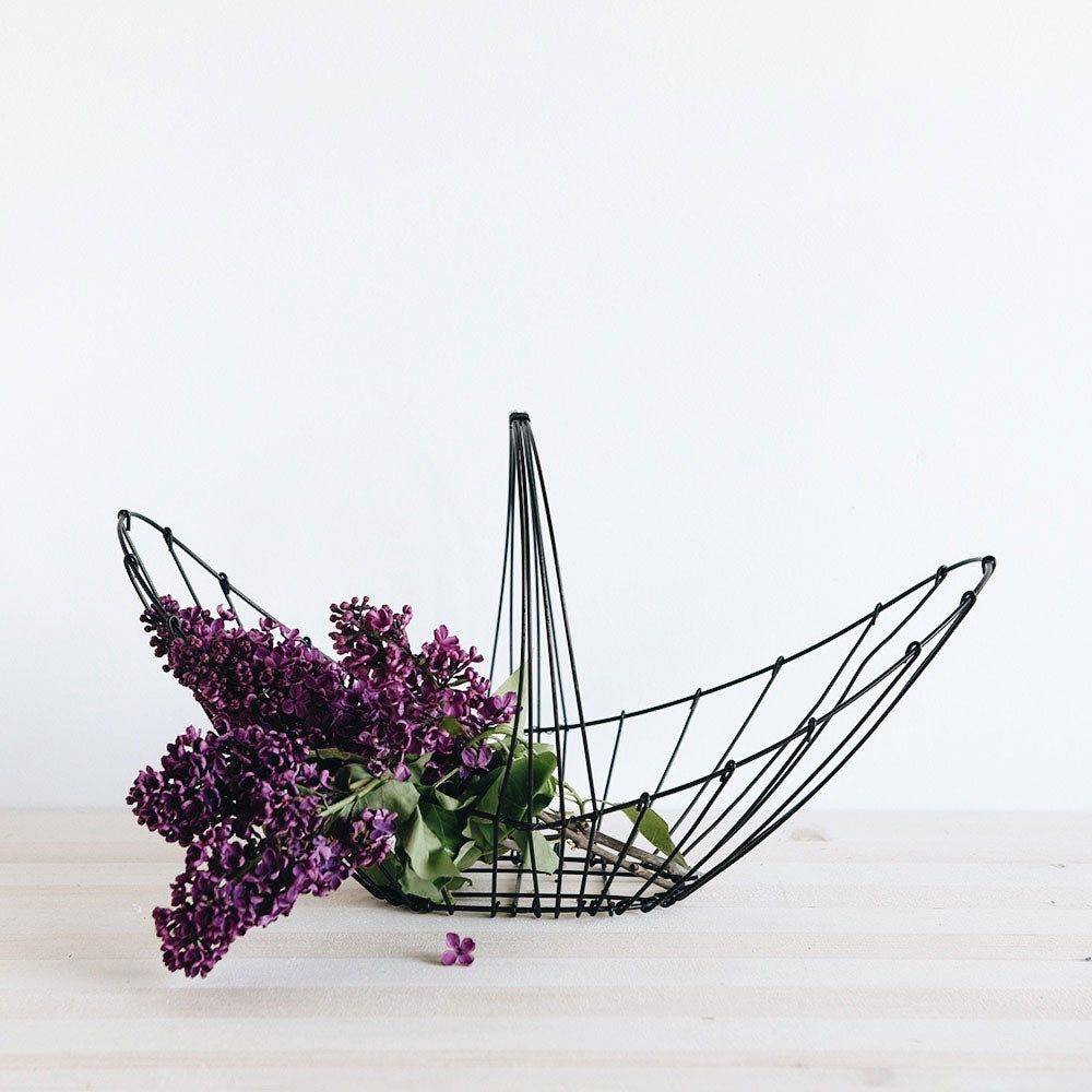 Stylish Canoe Wire Display Basket - Perfect for Home Decor, Kitchen Storage & Retail Displays | Rustic Farmhouse Organizer for Fruits, Vegetables, Magazines & More