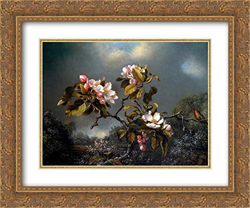 Martin Johnson Heade 'Apple Blossom and Hummingbird' 17x15 Gold Ornate Framed Museum Art Print - Perfect for Living Room Decor, Office Wall Art & Vintage Home Interiors