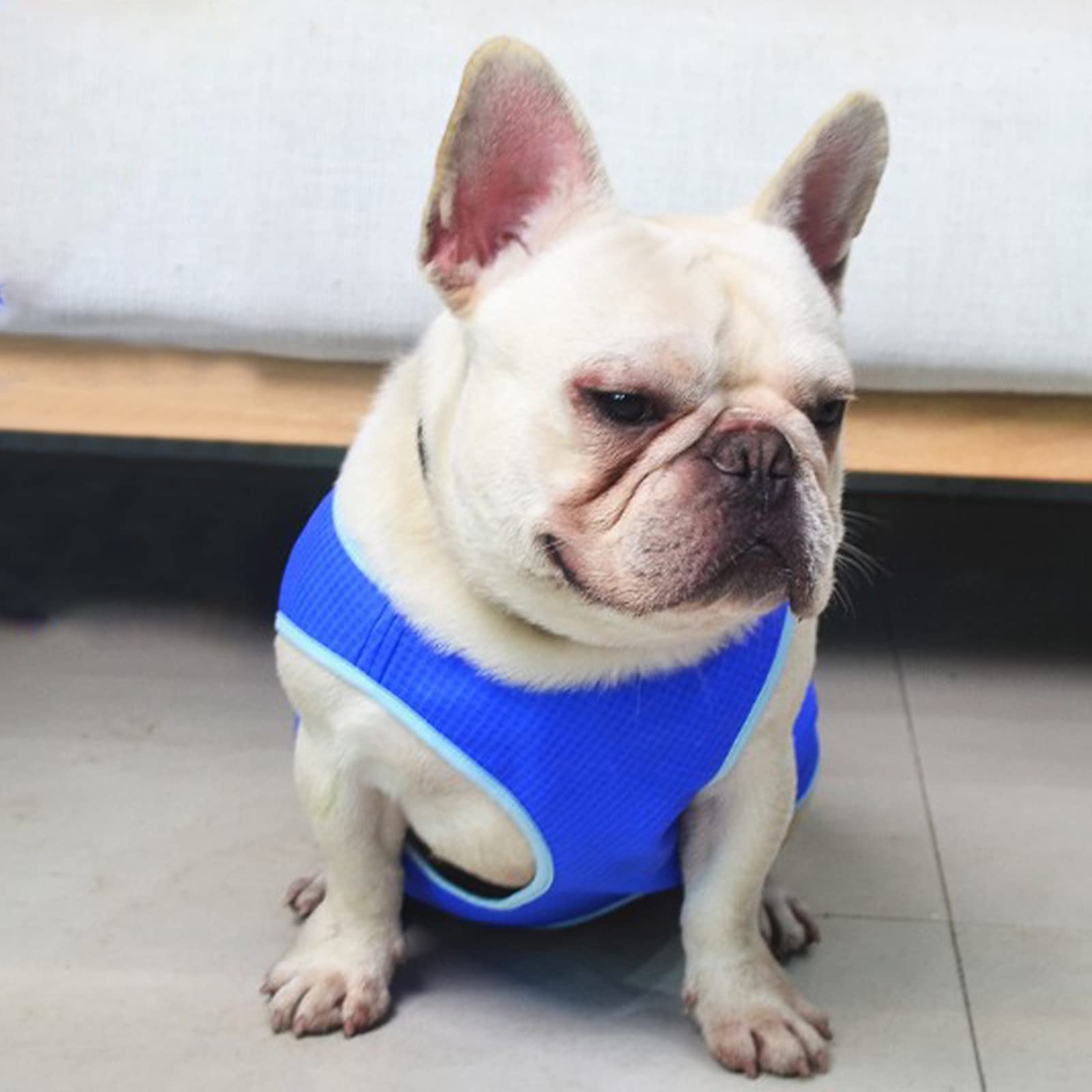 Lightweight Dog Cooling Vest Harness - Breathable & Adjustable Cooling Jacket for Small, Medium & Large Dogs - Perfect for Outdoor Hunting, Training, Camping & Summer Walks
