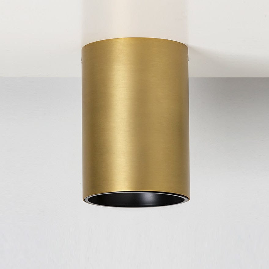 CANNON C 160/115 3K/4K Brass LED Ceiling Light Fixture - Warm White & Cool White Dimmable - Modern Flush Mount Lighting for Bedroom, Living Room, Kitchen, Hallway