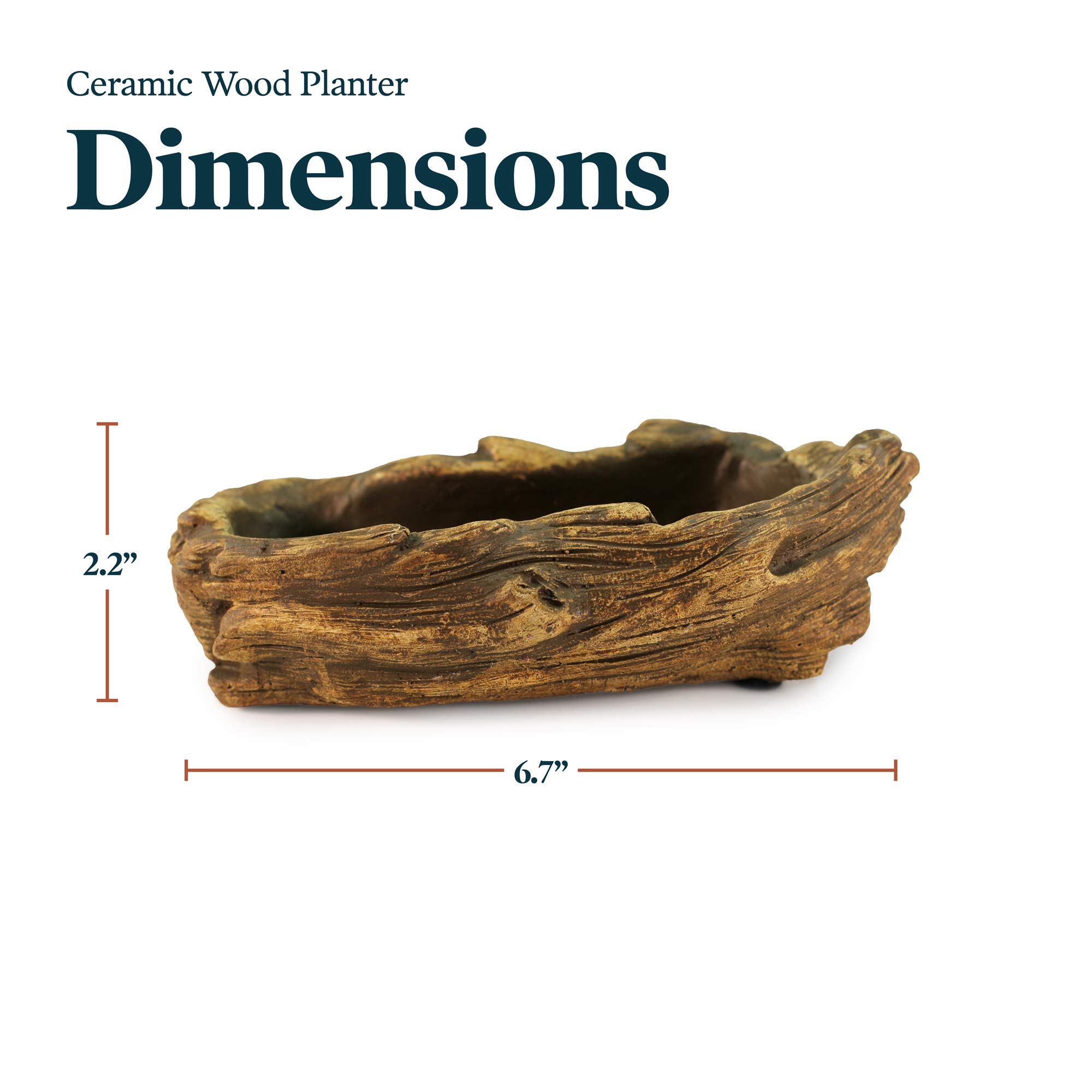 Ceramic Wood Plant Pot - Indoor Wood Planter for Succulents, Flowers & Small Plants | Unique Driftwood Whale Log Planter | Perfect for Home Decor, Office Desk & Gift Ideas