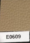 E609