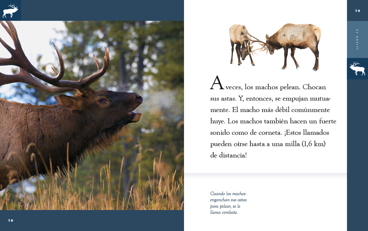 El Uapiti 9781640265875 - Wildlife Animal Book for Kids & Adults - Perfect for Nature Lovers, Classroom Learning, and Wildlife Enthusiasts