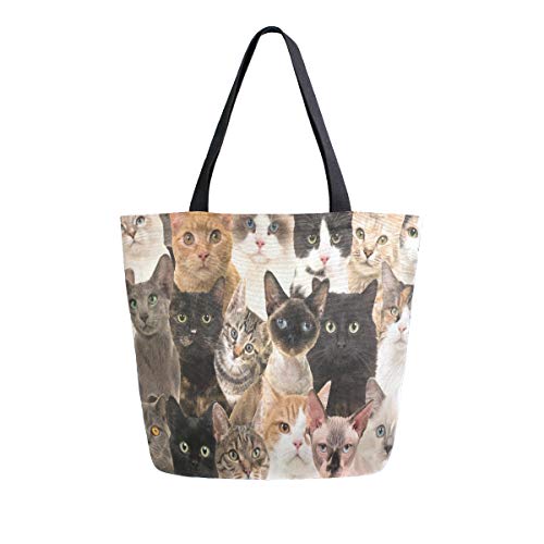 Cat White