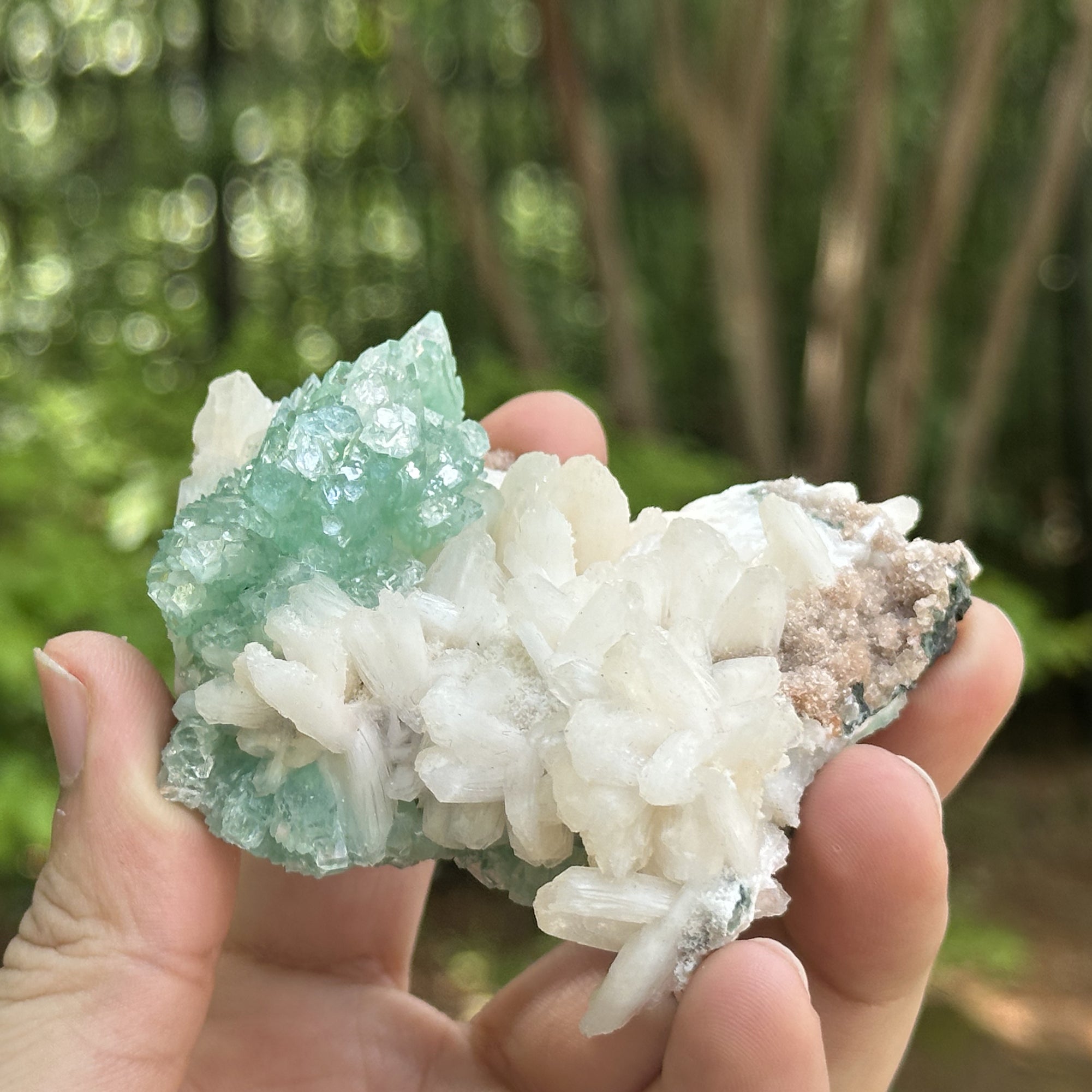 Natural Green Apophyllite Crystal - Rare Healing Stone for Clarity, Calmness & Spiritual Growth | Mineral Specimen for Meditation, Energy Work & Home Decor (RMI743)