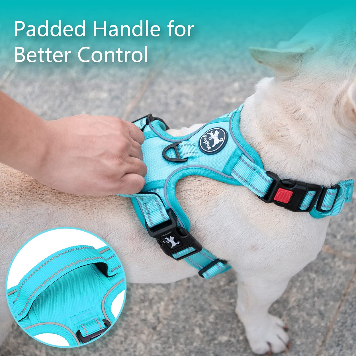 PoyPet No Pull Dog Harness - Reflective Adjustable Pet Vest with Padded Handle for Small Medium Large Dogs - Comfortable & Safe for Walking, Running, Hiking (Mint Blue with Matching Trim, XS) - Perfect for Daily Walks, Outdoor Adventures & Nighttime Safety
