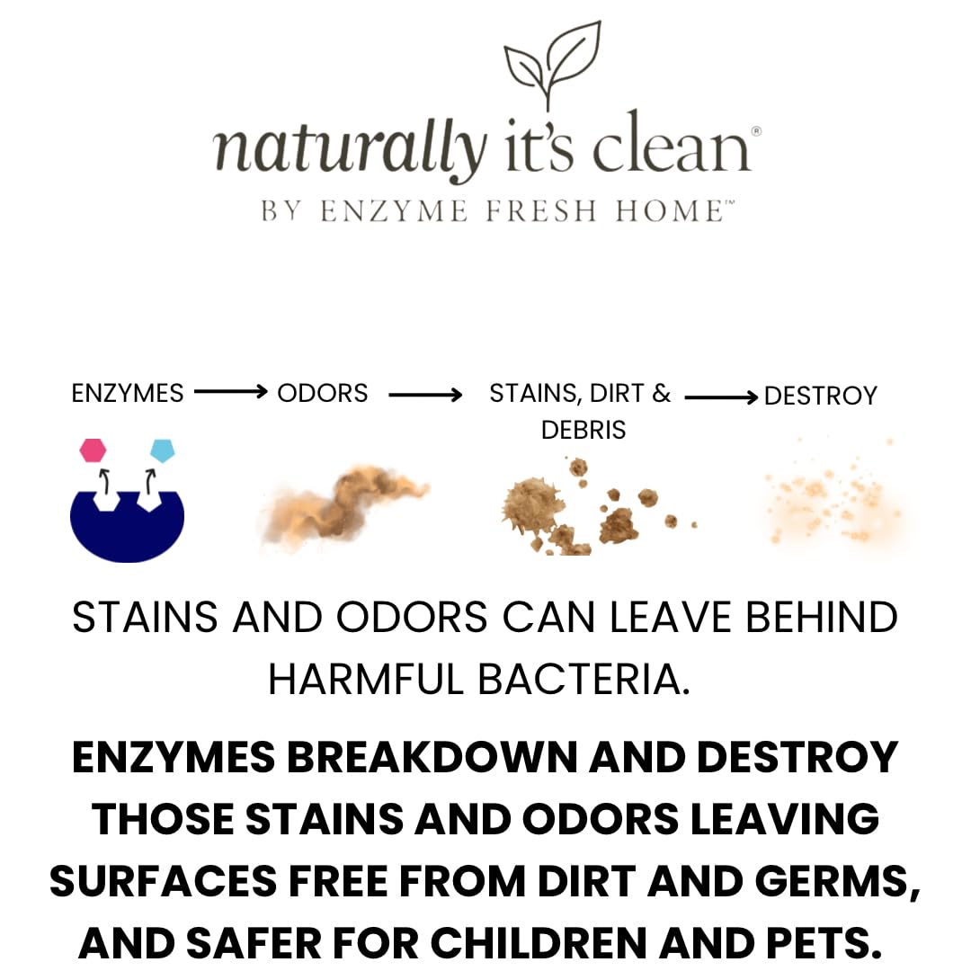 Naturally It's Clean Floor Enzyme Cleaner | 24 Gallon Rinse-Free Concentrate | 2-Pack | Perfect for Hardwood, Tile & Laminate Floors