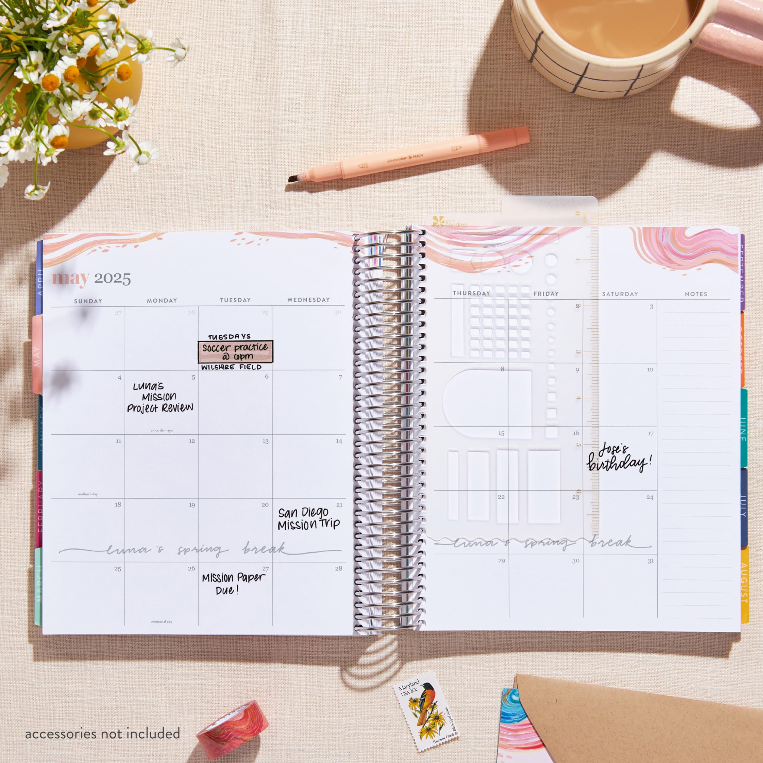 Erin Condren 2024-2025 7x9 Inch Life Planner with Colorful Classic Cover - Vertical Layout, Evolve Theme & Platinum Coil - Perfect for Daily Scheduling, Goal Tracking & Productivity (July 2024 - June 2025)