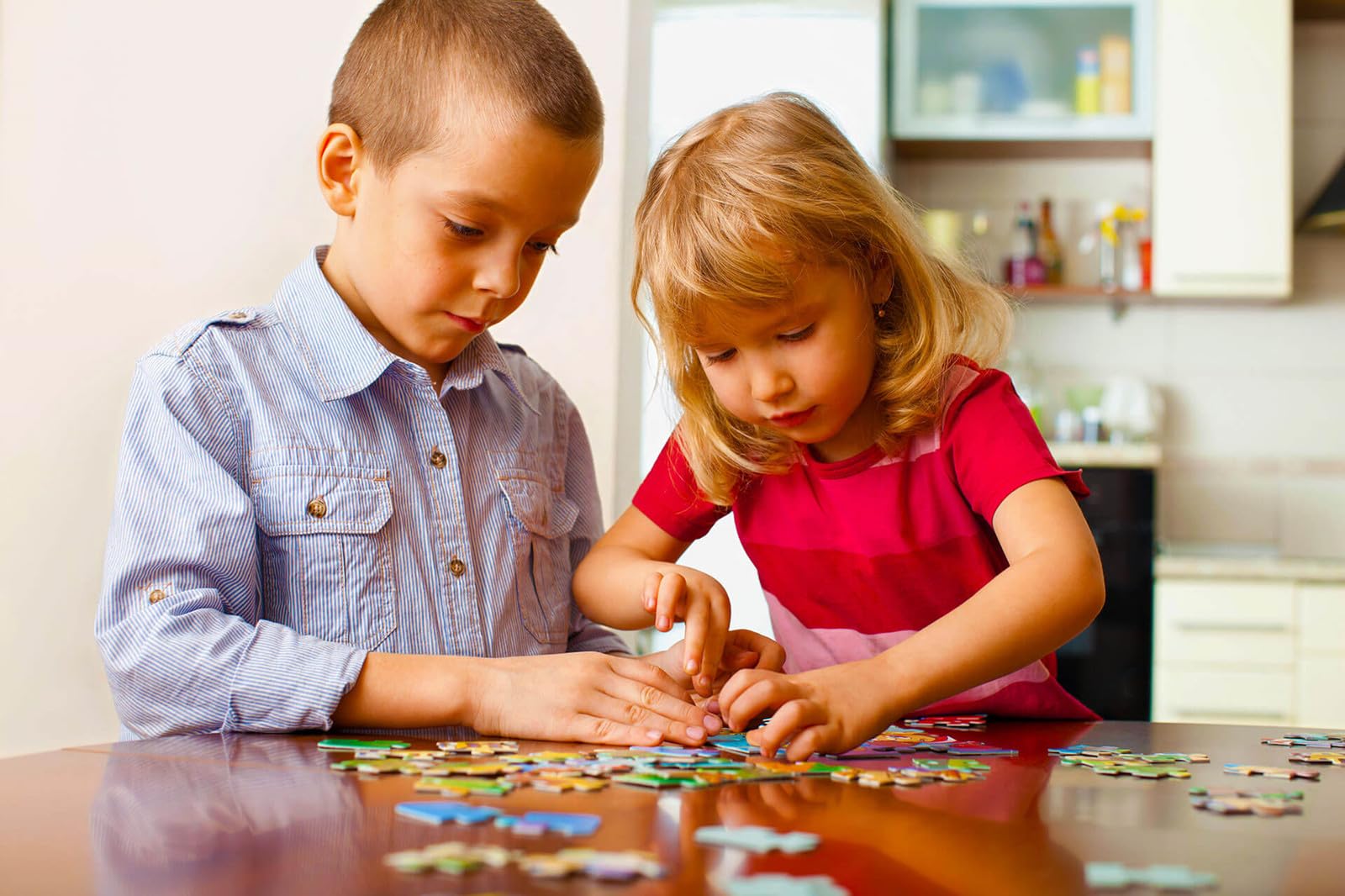 1500 Piece Wooden Jigsaw Puzzle for Adults - Challenging Brain Teaser & Perfect Gift for Family & Friends - Great for Relaxation, Stress Relief & Family Game Night