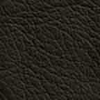 Black Leather