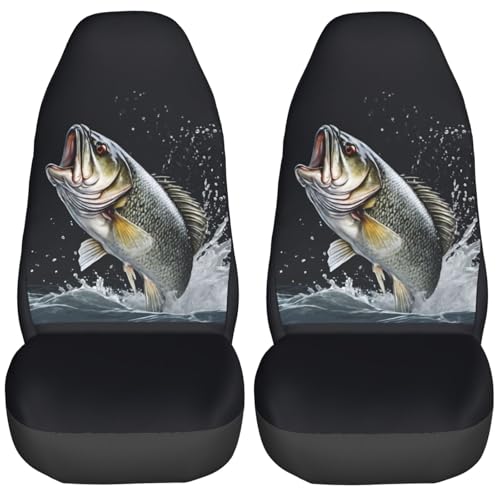 Fishing Sea Bass