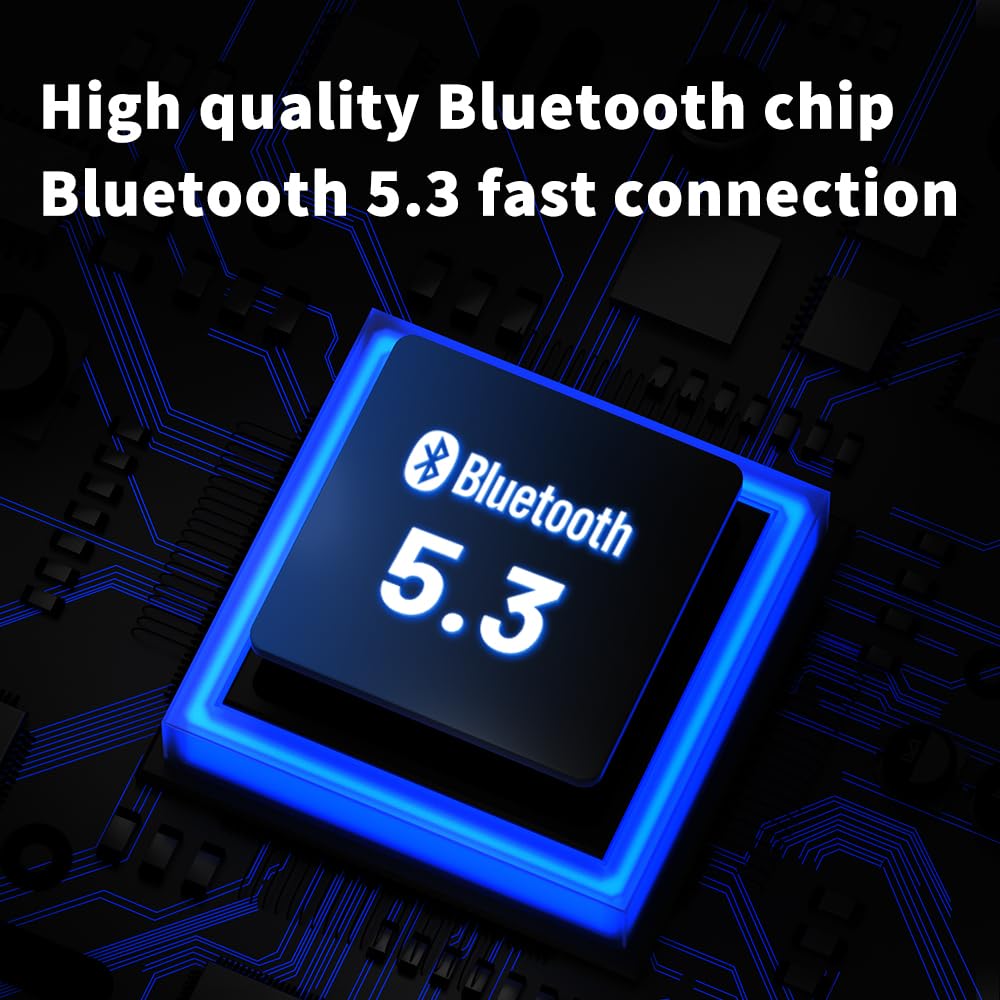 LEAUDIO TRN BT20 Pro True Wireless Bluetooth 5.3 Earphone Module with Swappable 2Pin-0.78mm Connectors (Headphones Not Included) - Perfect for Gym, Commuting & Wireless Audio Enthusiasts