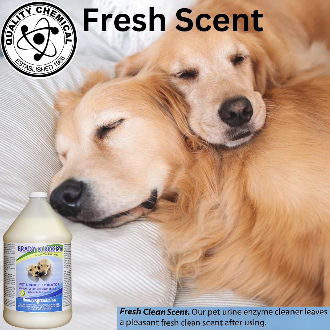 Premium Brady & Rocky Pet Urine Eliminator - Advanced Odor & Stain Remover for Carpets, Upholstery & Floors - 128oz Professional Strength Formula - Ideal for Dog Urine, Vomit & Pet Accidents - Home & Car Use