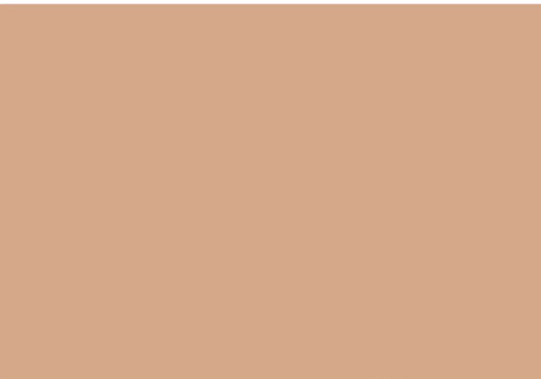 Colorcrete - Premium Concrete Pigment for DIY Projects & Professional Use - Perfect for Driveways, Patios & Floors