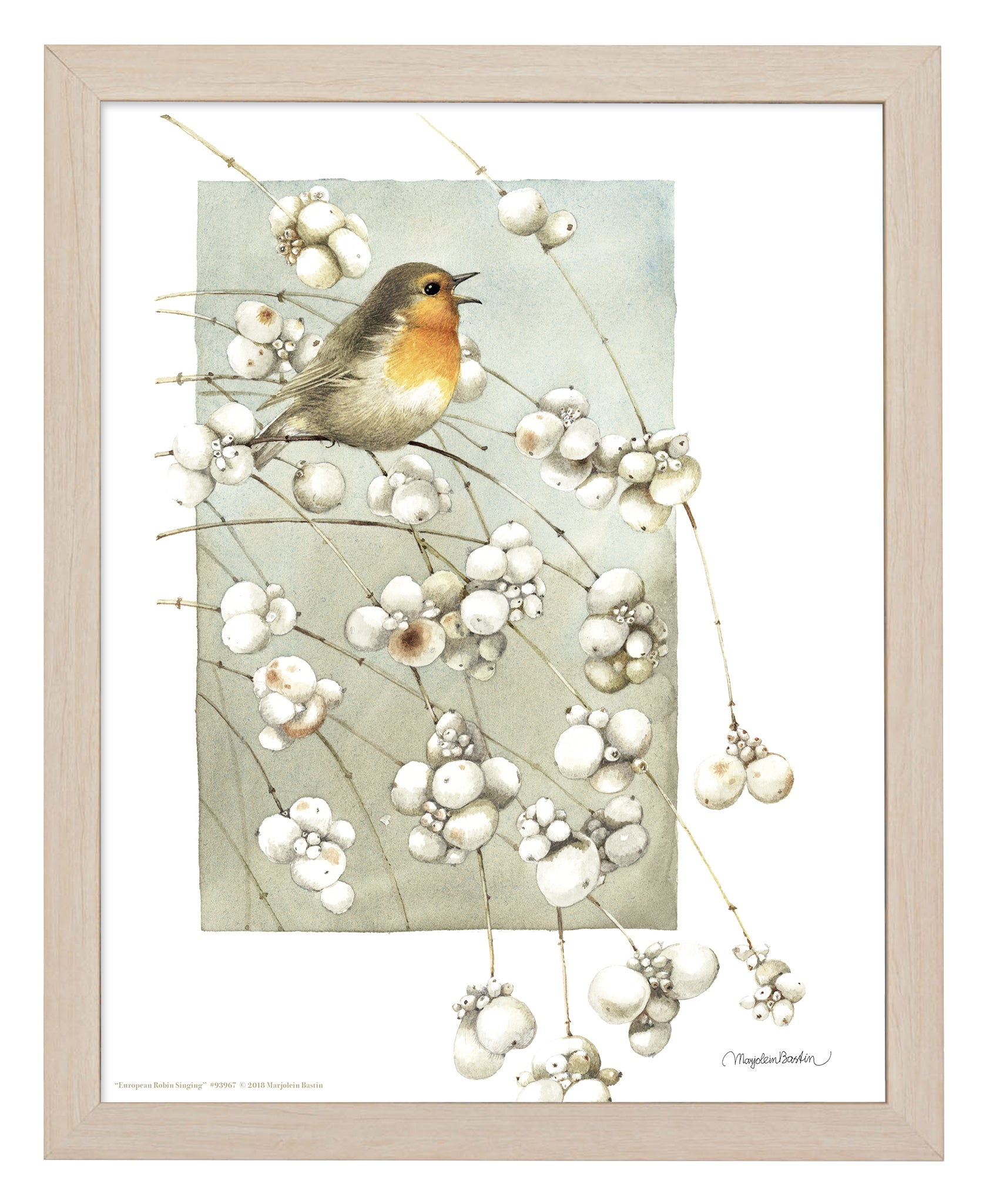 European Robin Singing Art Prints - Stunning Bird Wall Decor for Living Room, Bedroom & Office - Perfect Gift for Nature Lovers