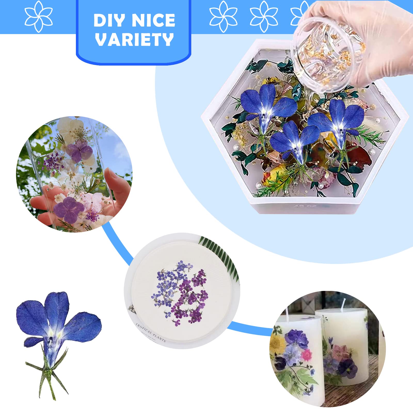 60PCS Natural Blue Pressed Dried Flowers for Resin Crafts, Jewelry Making, DIY Phone Case & Candle Decor - Perfect for Wedding Invitations, Scrapbooking & Home Decoration