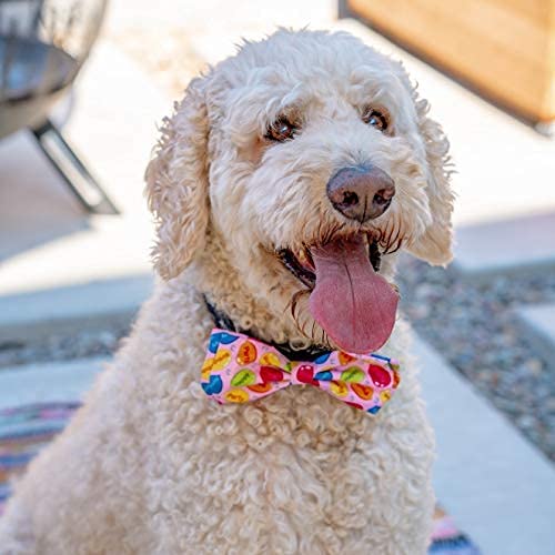 Huxley & Kent Pink Bow Tie for Dogs & Cats - Large Size Pet Party Accessory | Adjustable Collar Attachment for Birthday, Wedding & Special Events | Cute, Comfortable & Durable Dog Cat Bowtie | Perfect for Pet Photos, Costume Parties & Holiday Celebrations