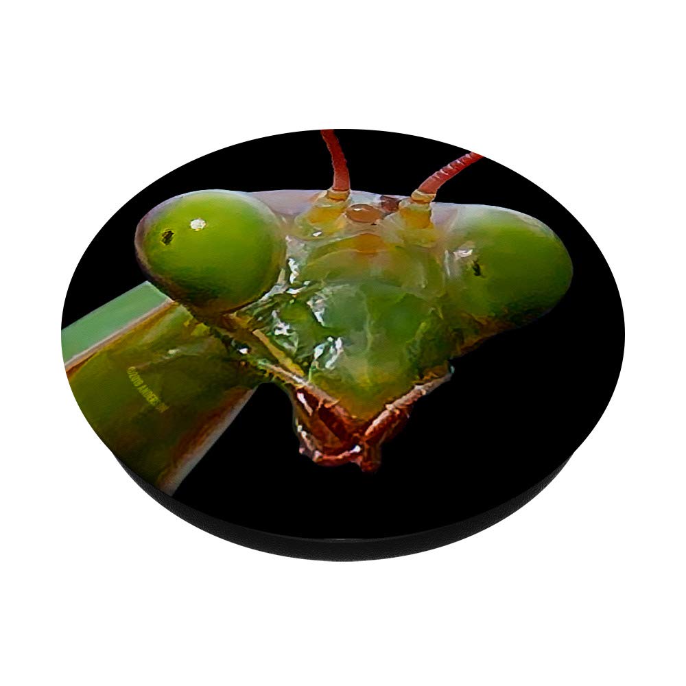 Green Praying Mantis PopSockets Phone Grip & Stand - Expandable Phone Holder for iPhone, Samsung Galaxy - Perfect for Selfies, Video Calls & Secure Grip