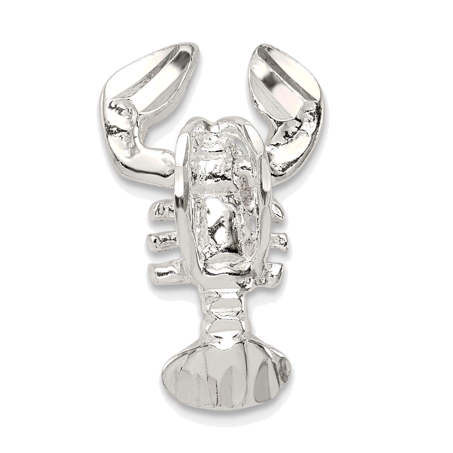 Bonyak Jewelry 925 Sterling Silver Lobster Clasp Chain Slide Charm Pendant - Perfect for Necklaces, Bracelets, and DIY Jewelry Making