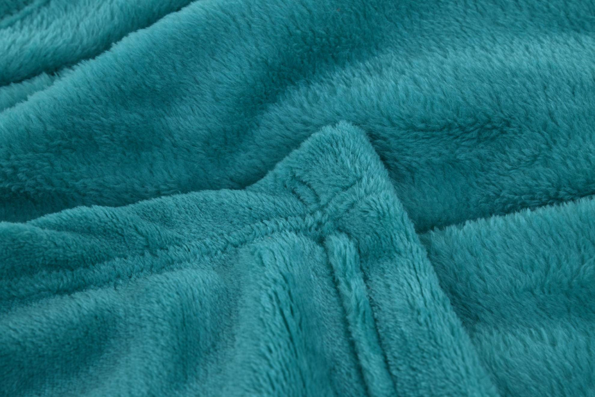 Soft Polyester Fleece Throw Blanket for Couch & Bed - Cozy Lightweight Fuzzy Blanket 51” x 70” (Light Green) - Perfect for Fall Decor, Bed Cover, Couch Cover & Snuggling