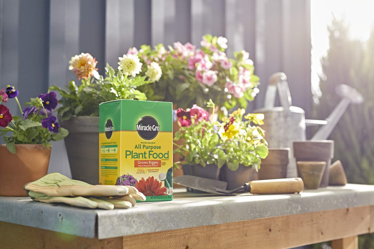 Miracle-Gro All Purpose Plant Food Fertilizer - 6 Pack (3 lb Each) for Indoor & Outdoor Plants, Vegetables, Flowers | Perfect for Gardening, Lawn Care, and Houseplants