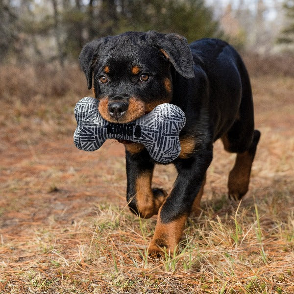 KONG Maxx Bone Dog Toy - Durable Chew Toy for Large Dogs - Perfect for Aggressive Chewers, Playtime & Training