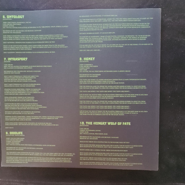 King Gizzard & The Lizard Wizard - K.G. (Explorations Into Microtonal Tuning Vol. 2) LP Vinyl Record Album - Near Mint (NM/M) Condition - Perfect for Vinyl Collectors & Music Enthusiasts