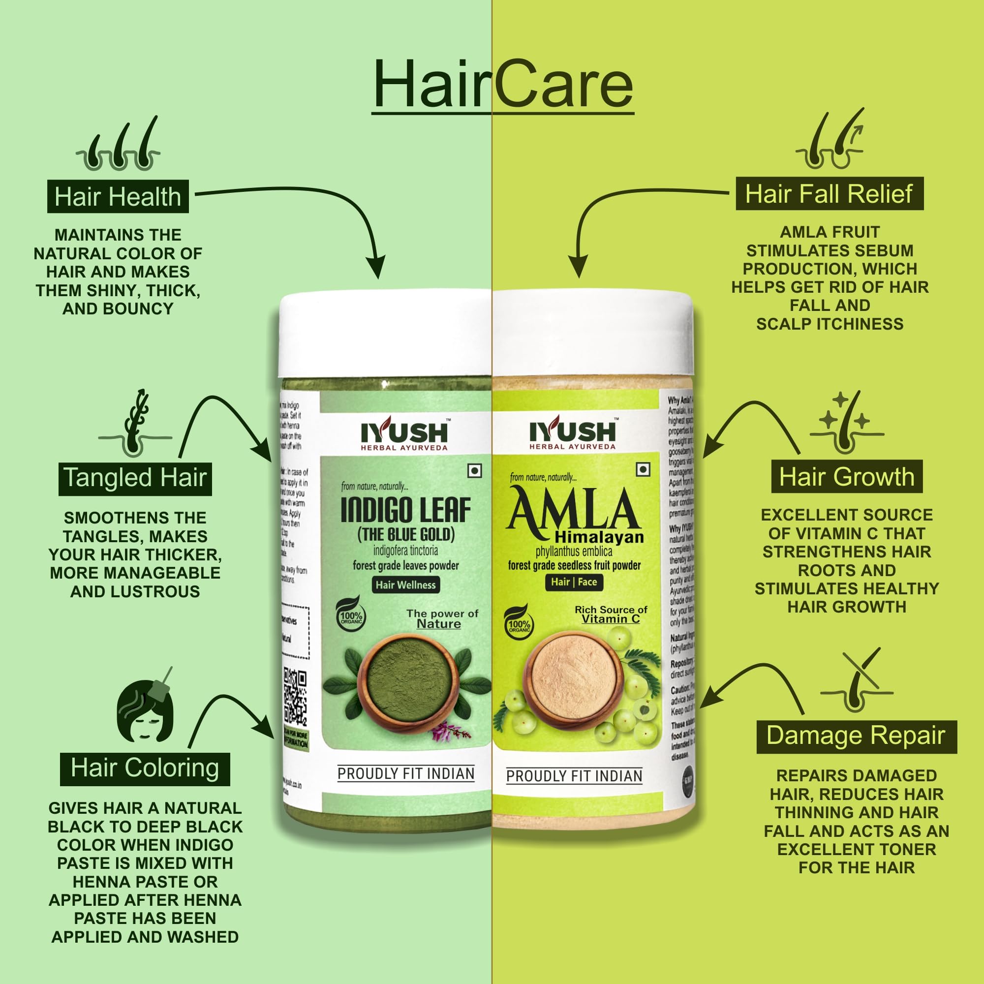Organic IYUSH Ayurvedic Amla Powder & Indigo Powder for Natural Hair Coloring – 500g (250g Each) | Herbal Hair Dye with Gooseberry Extract | Chemical-Free Gray Coverage | Perfect for DIY Hair Coloring at Home, Salon Use & Ayurvedic Hair Treatments