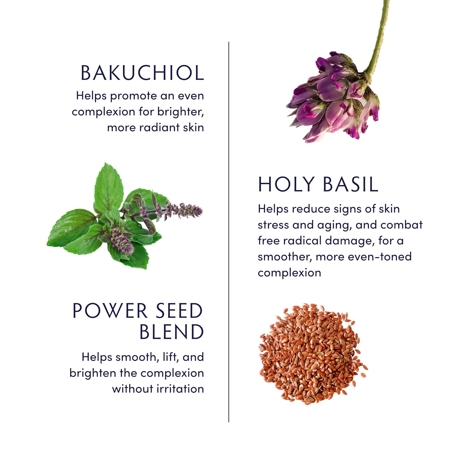 Naturopathica Holy Basil & Bakuchiol Ageless Night Oil - Anti-Aging Facial Oil for Wrinkles & Fine Lines | Nighttime Skincare Routine for Glowing Skin