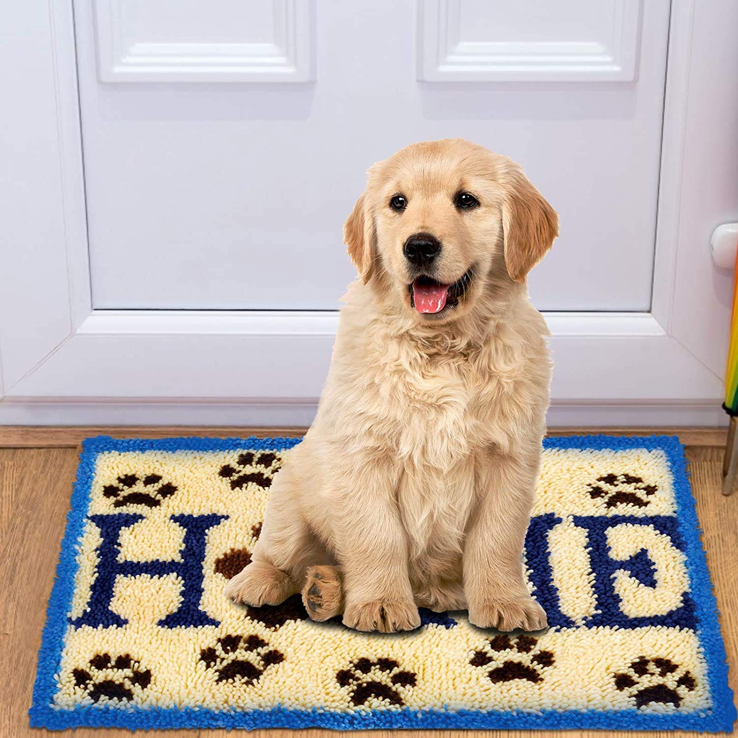 3D Latch Hook Kits for DIY Handmade Rugs - Printed Canvas Christmas Decor Carpet, Embroidery Tapestry & Cross Stitch Kit - Perfect for Home Decor, Gifts & Craft Projects