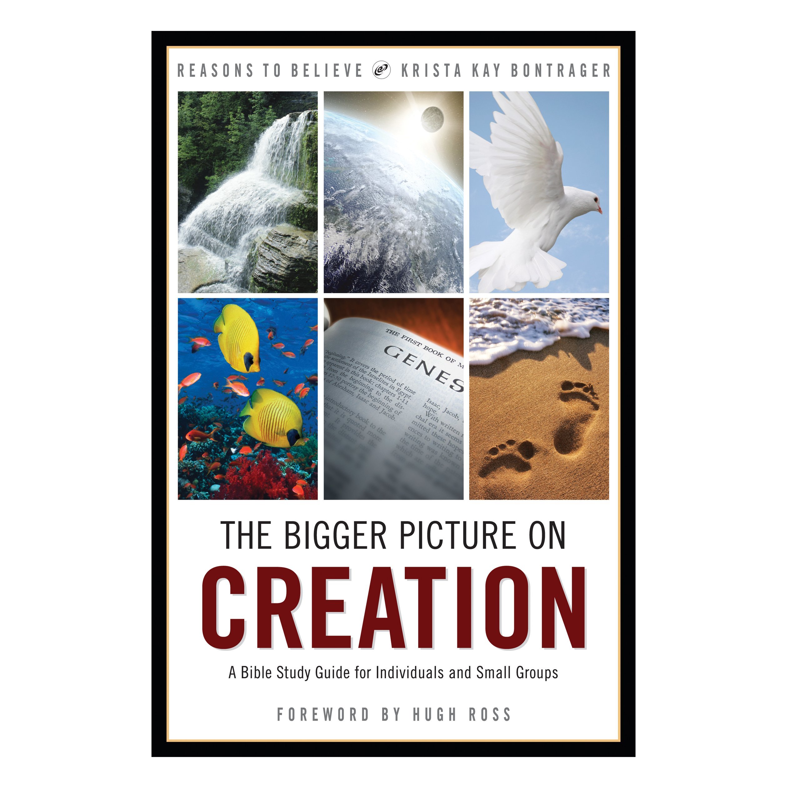 Creation Bible Study Guide for Individuals & Small Groups - Explore God's Masterpiece in Personal Devotion & Small Group Discussions
