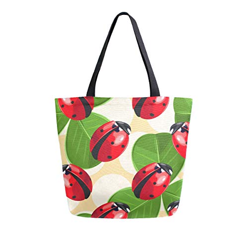Ladybug01
