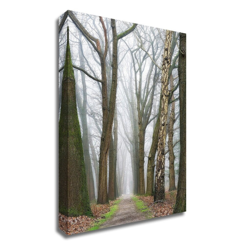 Lars Van de Goor 'At the End You Will Find a New Beginning' Canvas Art Print - Ready to Hang Wall Decor for Living Room, Bedroom & Office