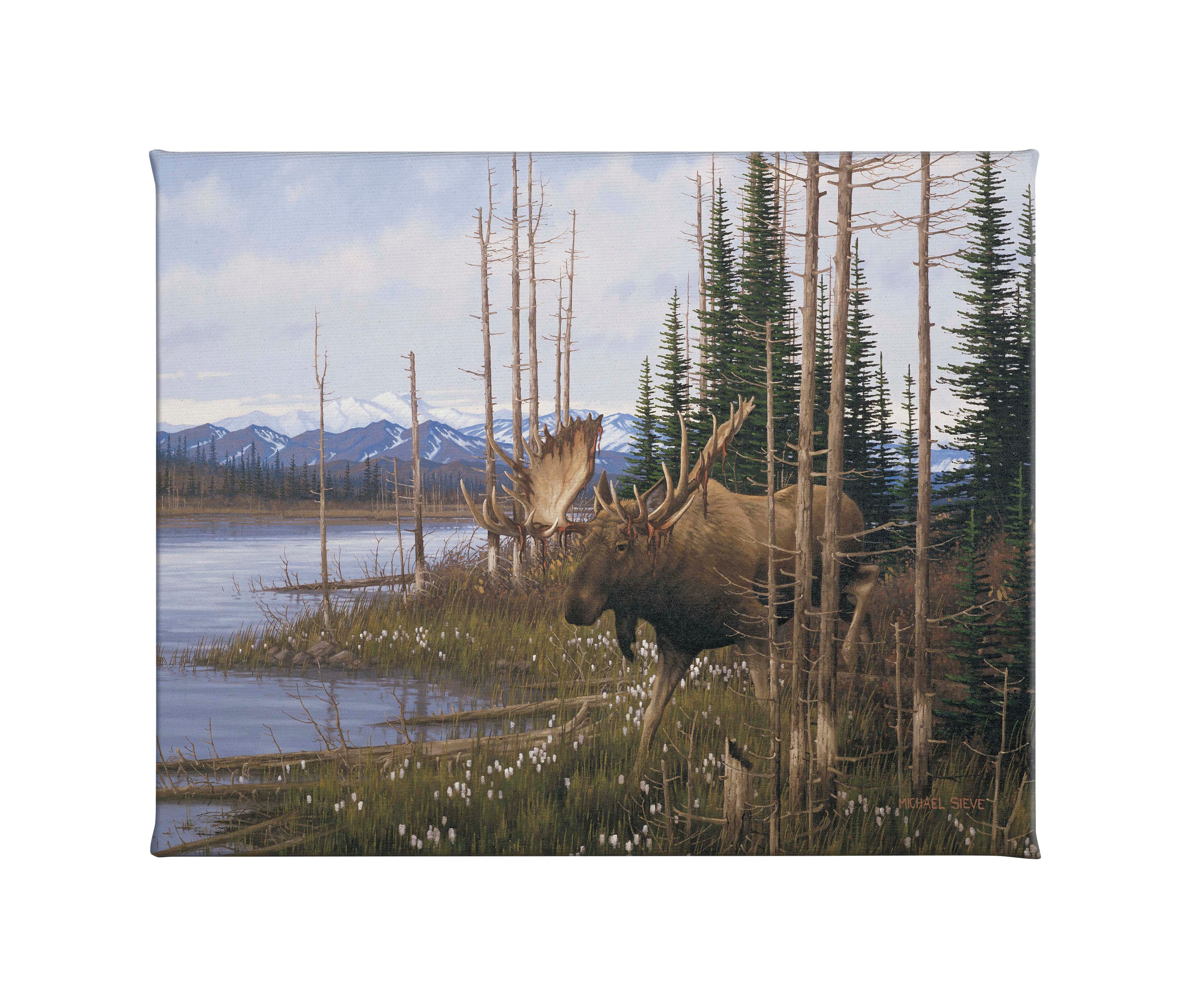 16x20.5 Inch Cotton Grass Meadow Moose Wall Art - Handmade Gallery Wrapped Canvas Painting for Living Room, Bedroom & Office Decor